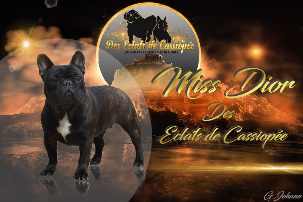 Miss dior Des éclats De Cassiopée