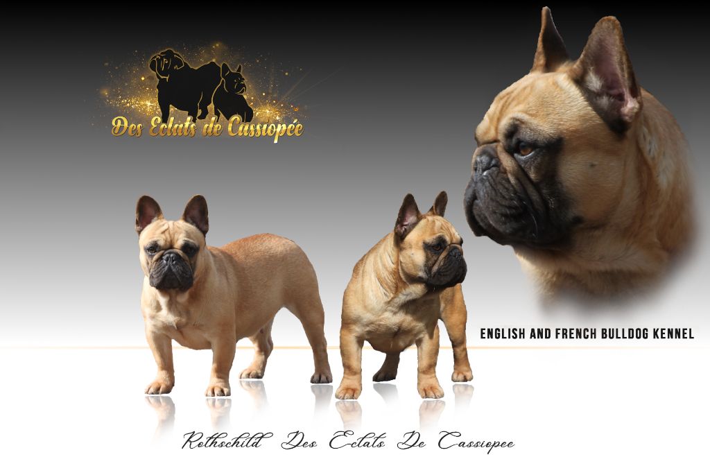 Rothschild Des éclats De Cassiopée