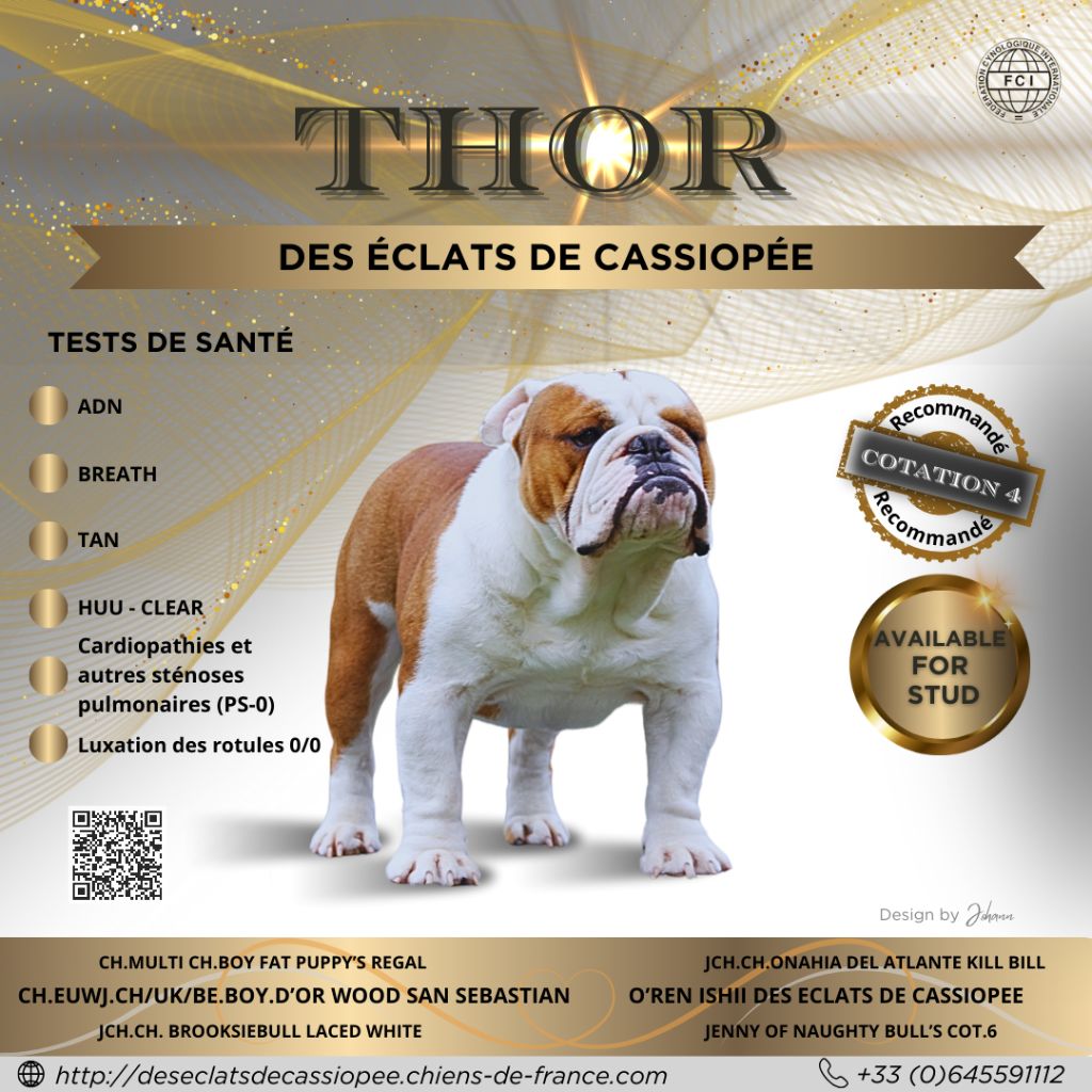 Thor Des éclats De Cassiopée