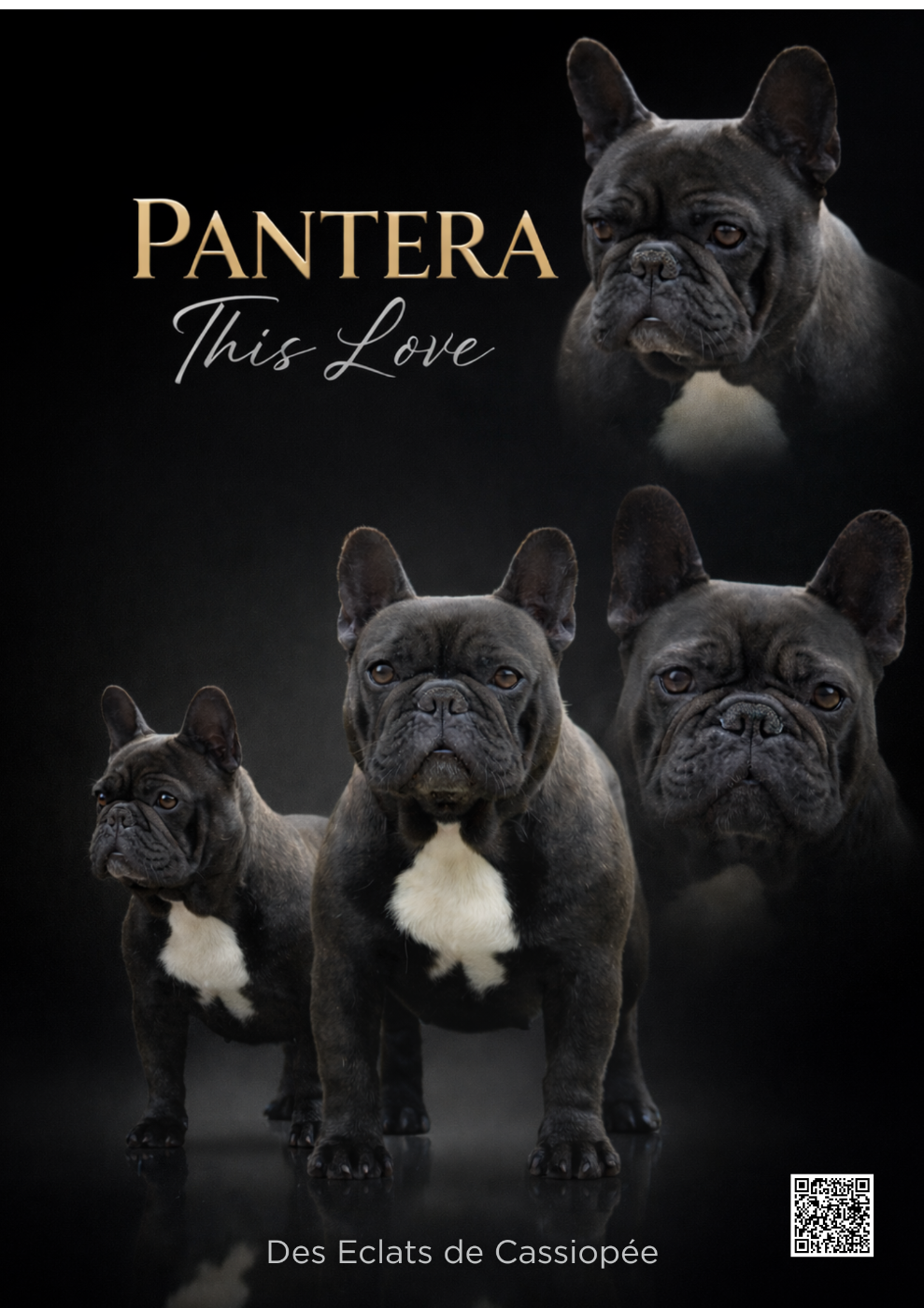 Pantera-this-love (Sans Affixe)