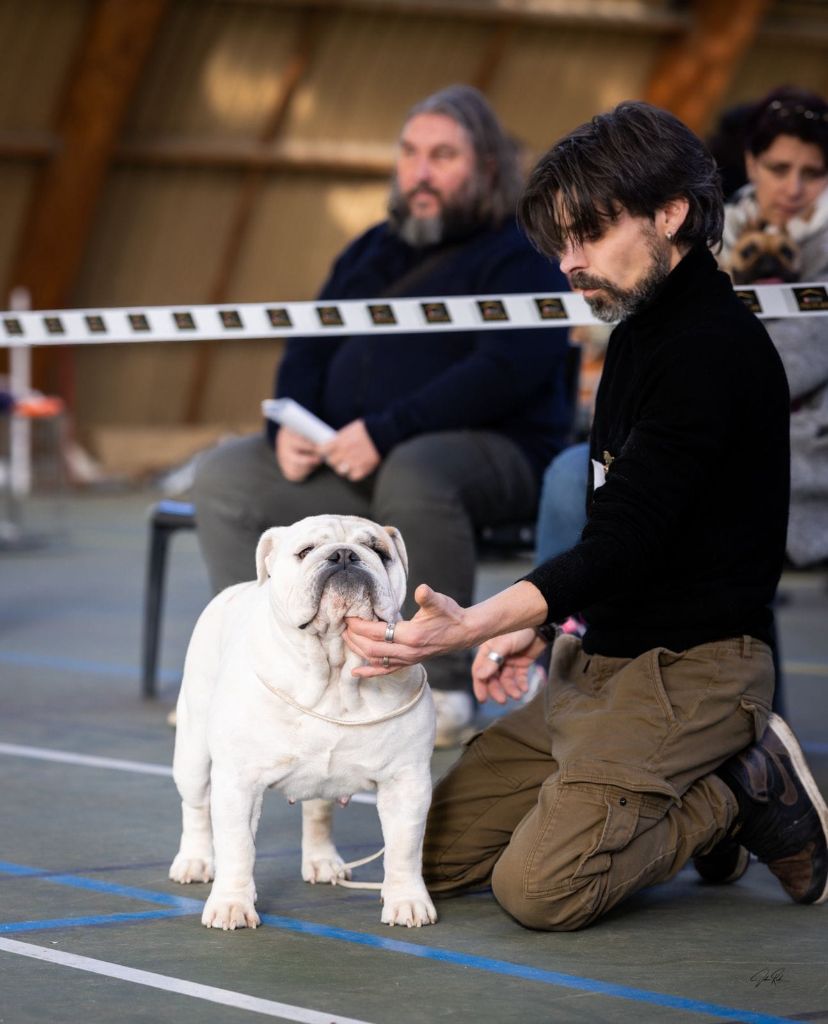 Star is born Des Jardins De Sorkal