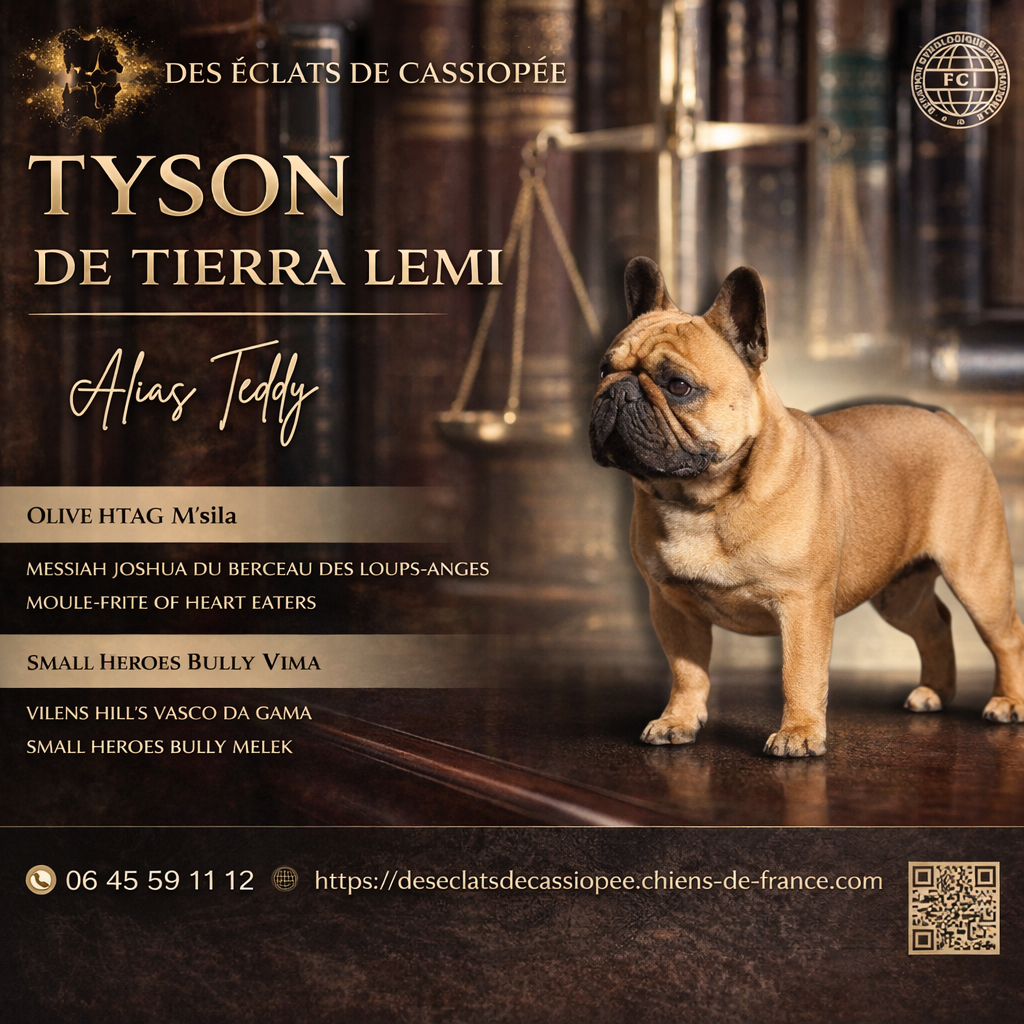 Tyson De Tierra Lemi