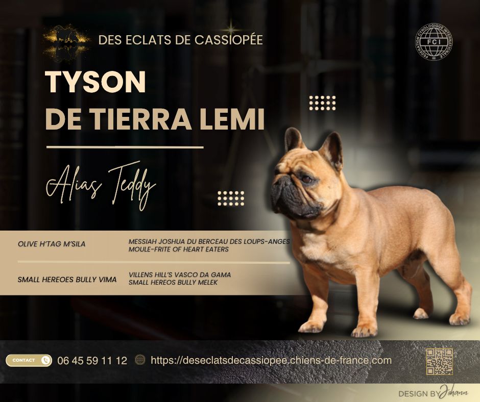 Tyson De Tierra Lemi