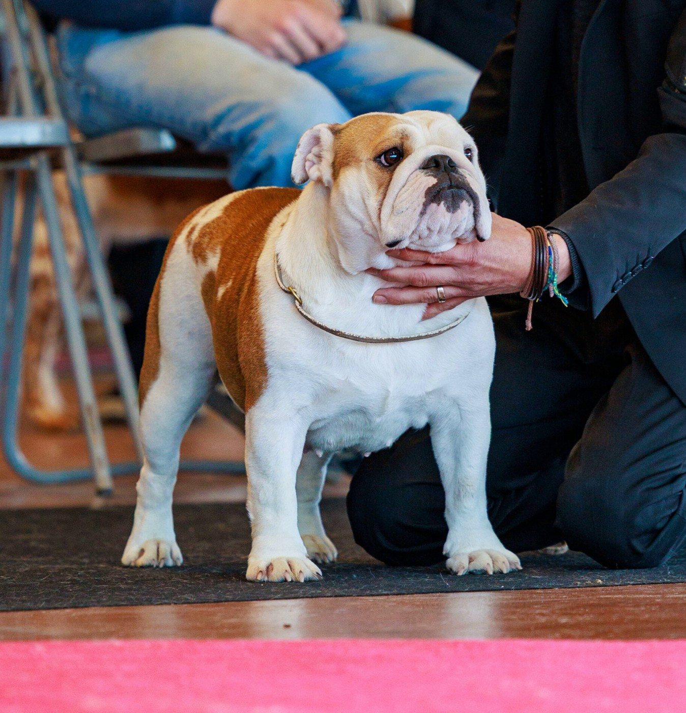 Vénus Storm Des éclats De Cassiopée
