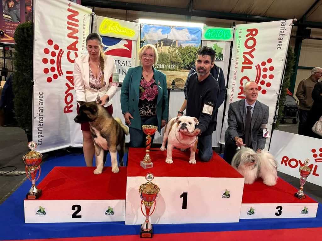 26/10/25 Exposition Internationale Spéciale de Race Châteauroux (36)