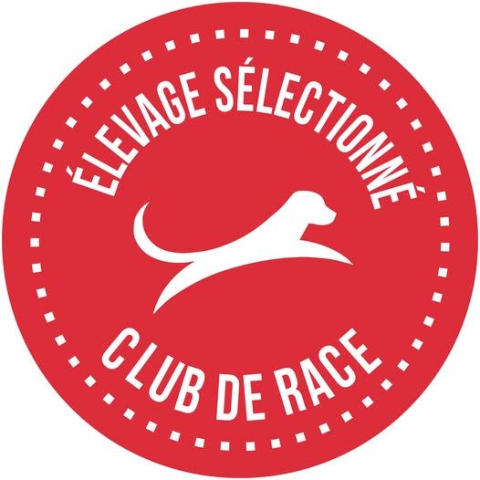 C'est Officiel